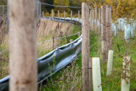 A newt fence near Cubbington Wood.