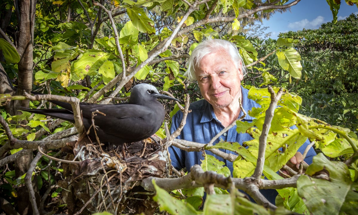 Who has most species named after them – David Attenborough? Charles Darwin?  | Wildlife | The Guardian