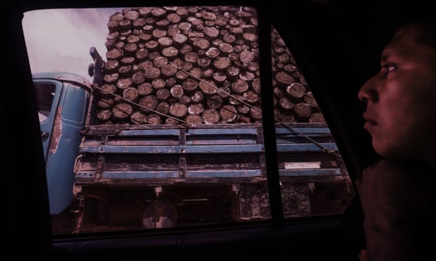 Hira, a Ka’apor indigenous leader and forest guardian, finds an illegal logging truck.
