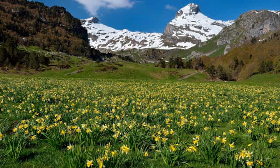 Valle de Osau, Parque Nacional de los Pirineos