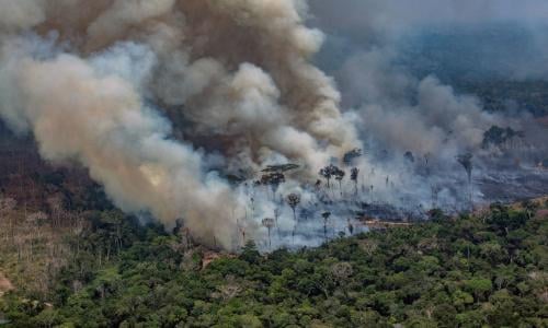 Rainforest Fires An Environmental Catastrophe In Pictures World News The Guardian  Rainforest Fires An Environmental Catastrophe In Pictures World News The Guardian