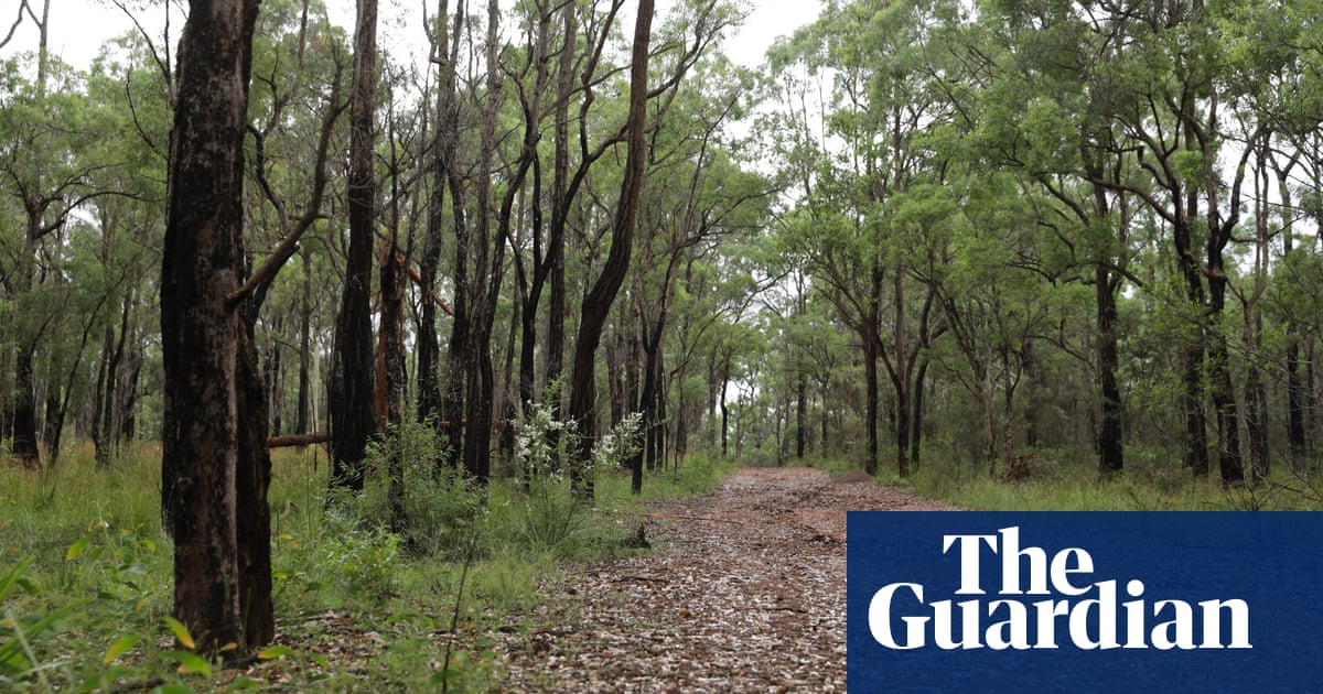 NSW environmental offsets failing to halt wildlife decline, inquiry told