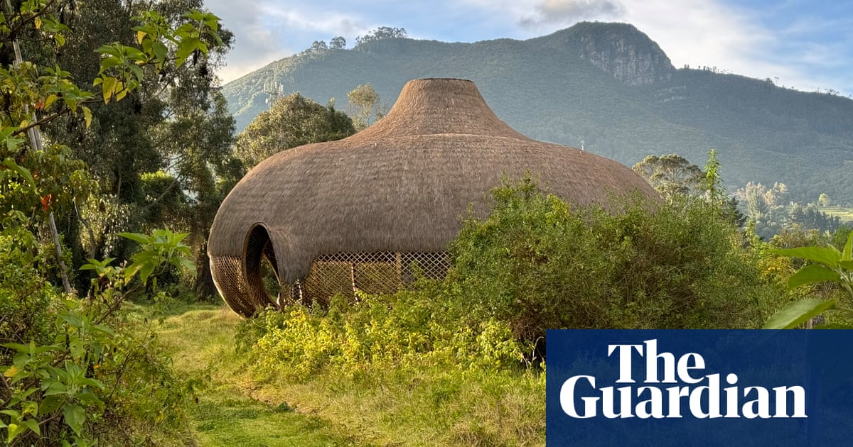 Organizmo! Los arquitectos colombianos que están desafiando las ideas colonialistas de ‘sostenibilidad’ | Arquitectura Organizmo! Los arquitectos colombianos que están desafiando las ideas colonialistas de ‘sostenibilidad’ | Arquitectura