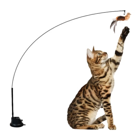 Cat reaching for fake bird secured to a thin bending pole on a stand