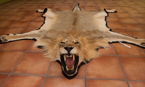Lion rug mount