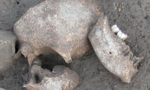 Experts found traces of conifer resins on ancient skulls Le Cailar iron age site in France