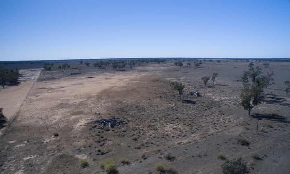 Land clearing near Moree