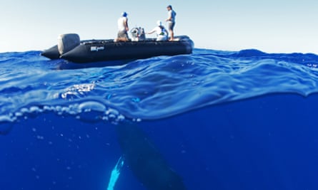 OceanXplorers.