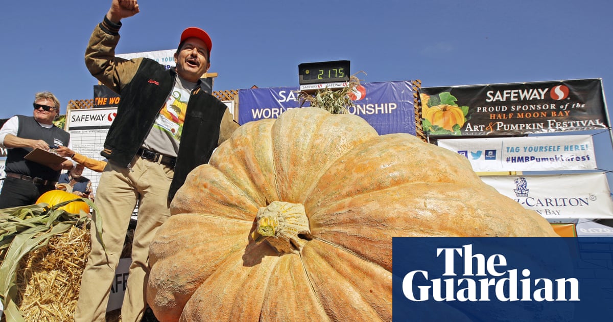 ‘I hug them’: meet the farmer raising 2,000lb pumpkins