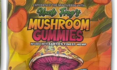 glp 1 and thc gummies Gummy Ghosts Other Negative Side Effects of Mushroom gummies: powerful cannabis product