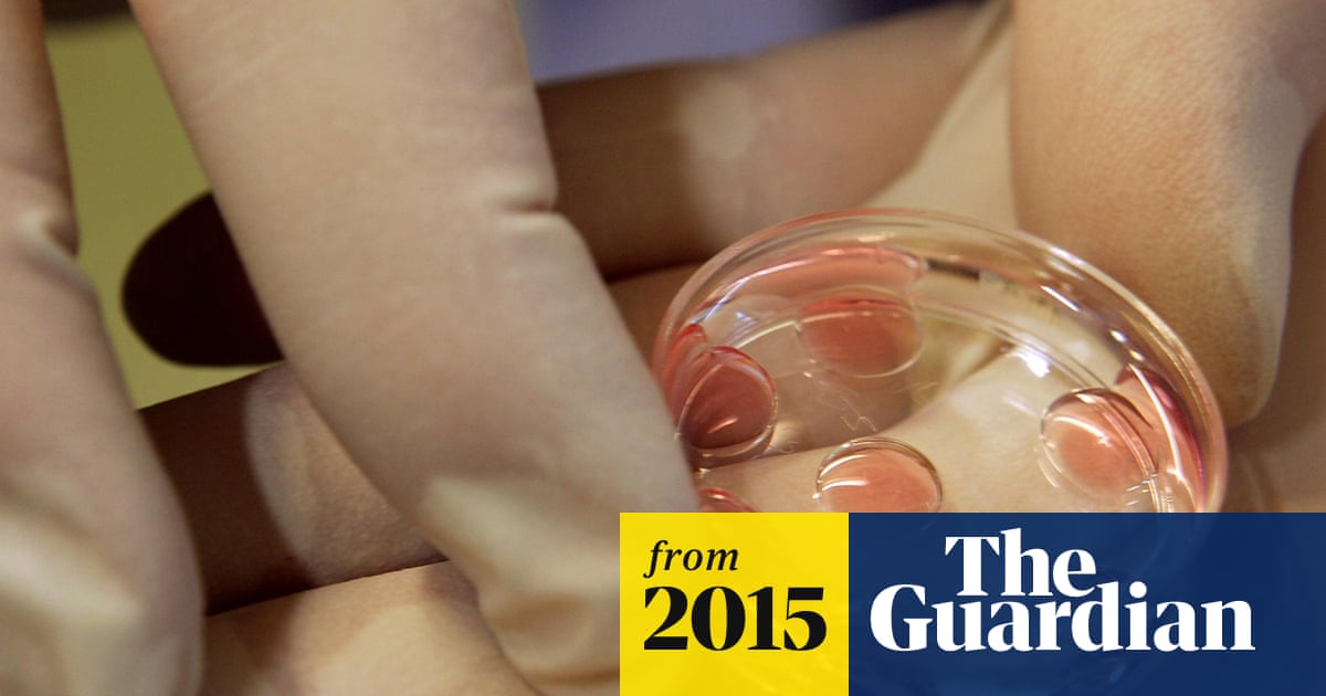 Chances of IVF success 'futile' for women over 44, says study | IVF | The  Guardian Chances of IVF success 'futile' for women over 44, says study | IVF | The  Guardian