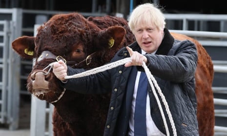 Boris Johnson and bovine friend