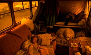 Aster Tratham-Webb sleeps by Comet the dog on the bus owned by the Tratham-Webb family on Sunday.