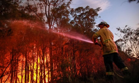 NSW Rural Fire Service firefighter attempt to extinguish a bush fire in Newcastle