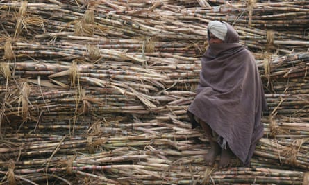 Indian sugar cane farmer