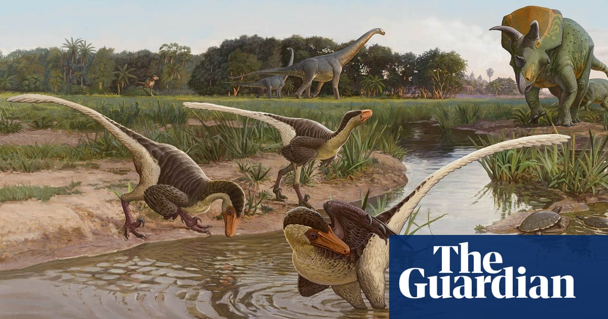Fossil of 67m-year-old raptor dinosaur found in New Mexico