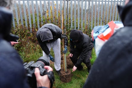 People plant a tree as a photographer tales a picture
