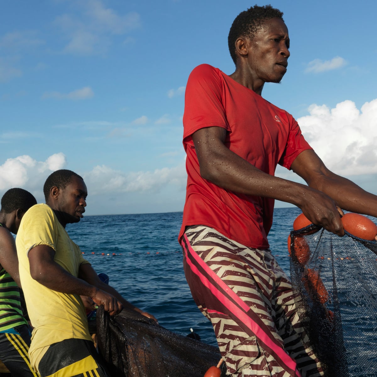 Off Tanzania In One Of The World S Richest Seas Why Is The Catch Getting Smaller Environment The Guardian Off Tanzania In One Of The World S Richest Seas Why Is The Catch Getting Smaller Environment The Guardian