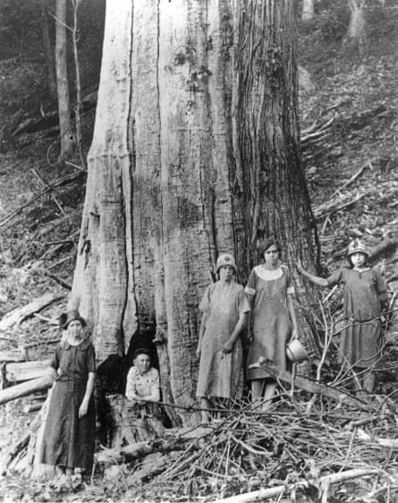 A family with a dead chestnut in Tennessee in the 1920s.
