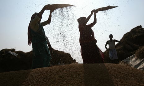 Women sift rice in West Bengal, India.