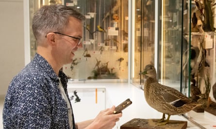 A person holding a phone facing a stuffed mallard