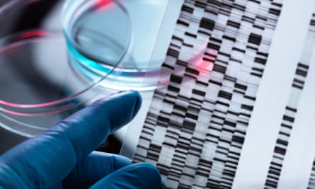 petri dish and a DNA printout