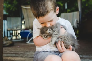 Young Child Holding And Kissing A KittenLittle boy holding and kissing a kitten