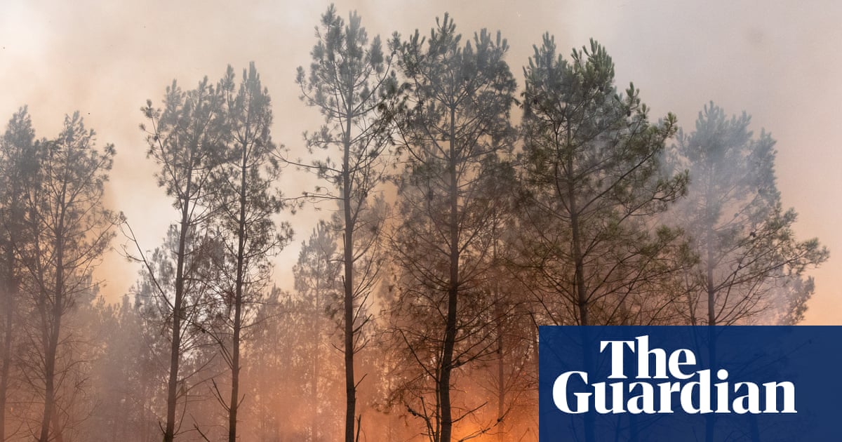 ‘Ash fell from the sky’: Tourists describe fleeing ‘apocalyptic’ wildfires in France