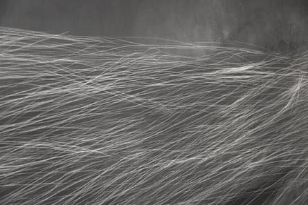 Anne Imhof, Grey Wave, 2025 (detail)