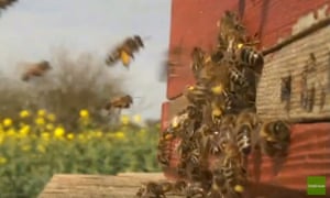 Waitrose S Youtube Livestream Prompts Online Buzz Media The Guardian