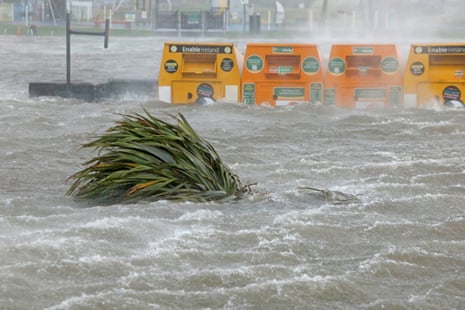 A palm tree is submerged after being blown over in Galway, Ireland.