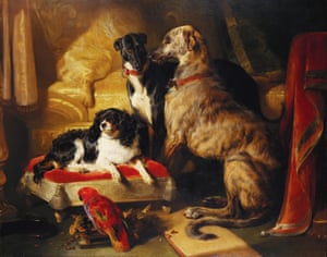 Hector, Nero and Dash with the Parrot Lory, 1838, by Edwin Landseer.