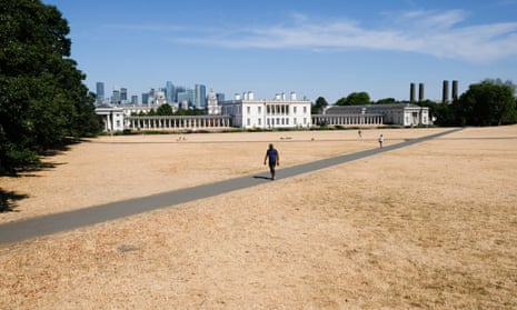 Parched grass in Greenwich Park, London.