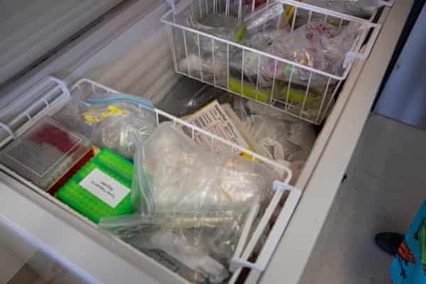 The freezer containing some of the samples Jodi Rowley has been sent