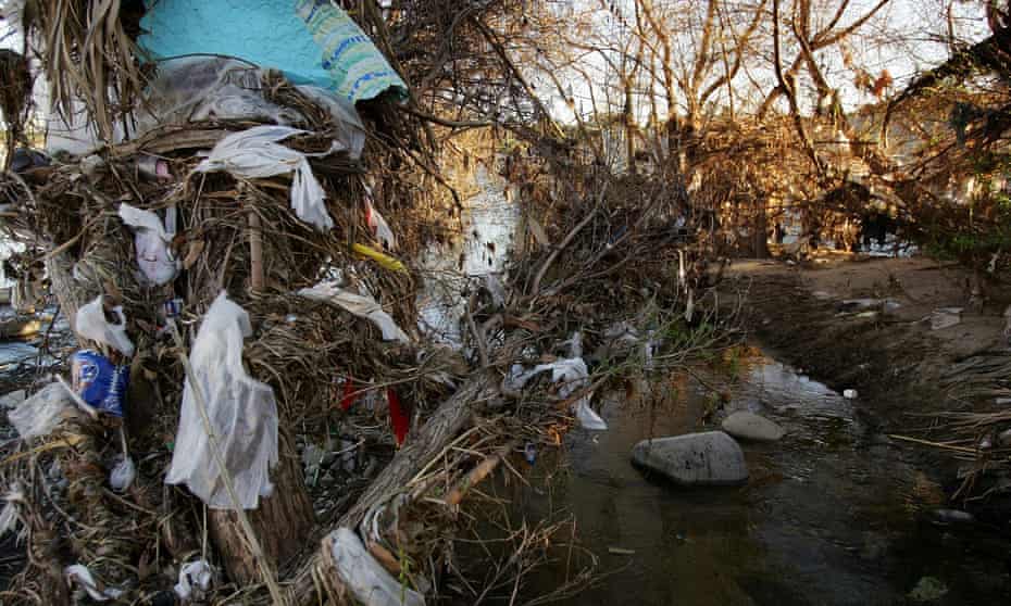 Plastic bags hang on trees in the Los Angeles River channel, after being washed away from streets and storm drains by rain