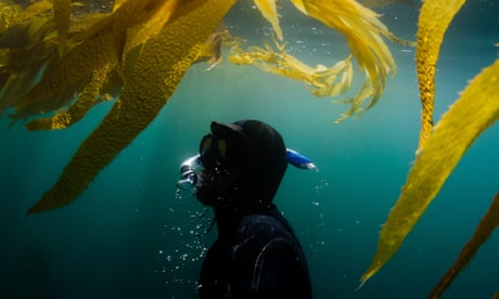 World Ocean Day: the top Seascape stories of the past year