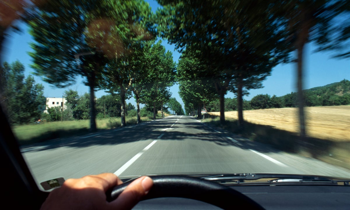 Ms Driving Test Driving Licence Check Code