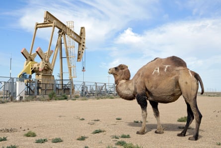 An oil pump and camel in the Mangystau region, west Kazakhstan.