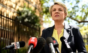 Tanya Plibersek