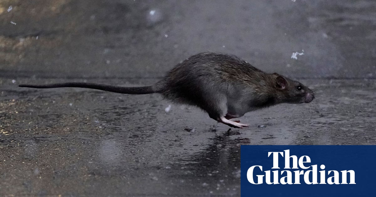 3500.jpg?width=1200&height=630&quality=8