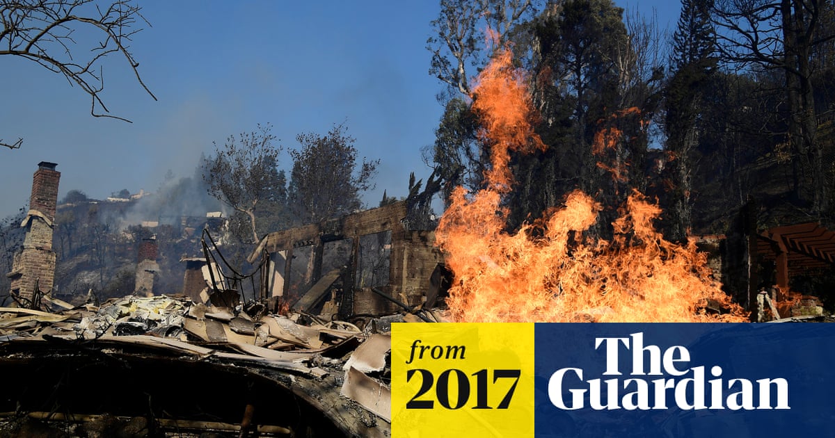 Wildfire That Scorched Bel Air Started In Homeless Camp And Residents Fear Backlash Us News The Guardian
