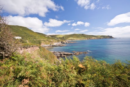 Ferns and headlands, sea and rocks on a sunny day.