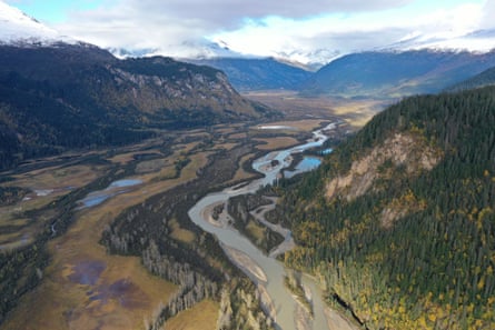 aerial picture of river running through valley with trees