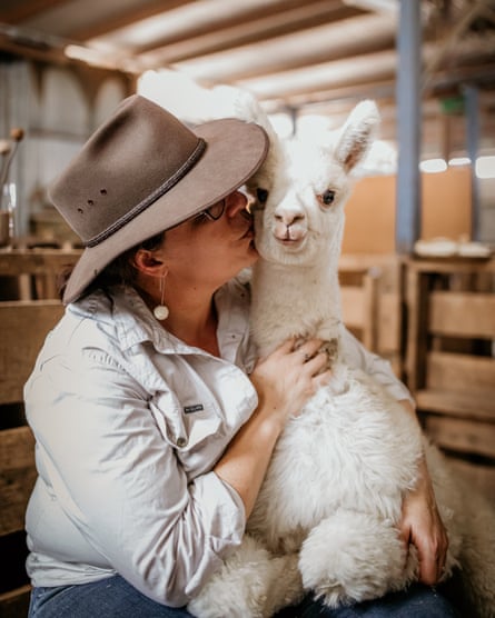 Alpaca farmer Amee Dennis kisses a young alpaca