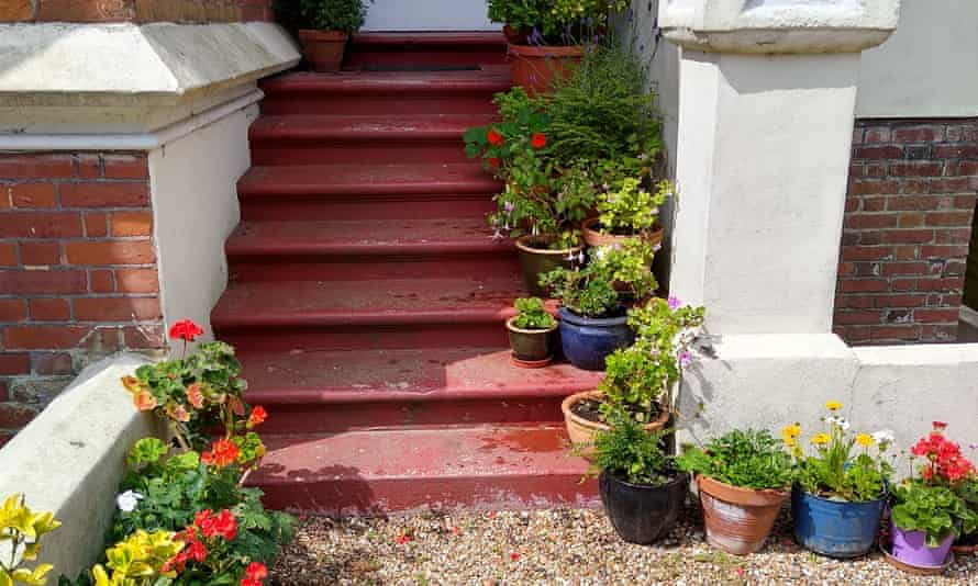 Helen Nightingale’s front steps, adorned with flowerpots, in St Leonards-on-Sea