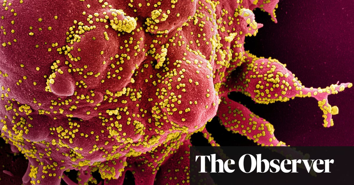 theguardian.com Tiny variants in genes may dictate severity of coronavirus