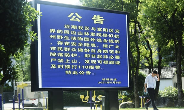 A resident passes a sign warning residents about the dangers of a suspected runaway leopard in Hangzhou.