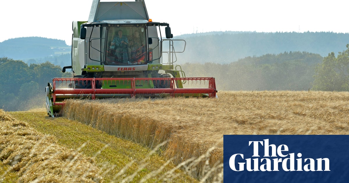 Using far less chemical fertiliser still produces high crop yields, study finds