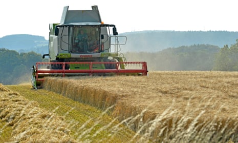 Combine harvester in a field
