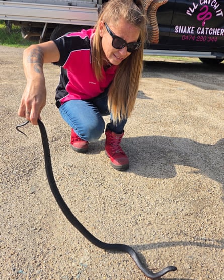 Snake catcher Sarah Mailey
